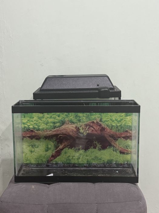 Продажа аквариума