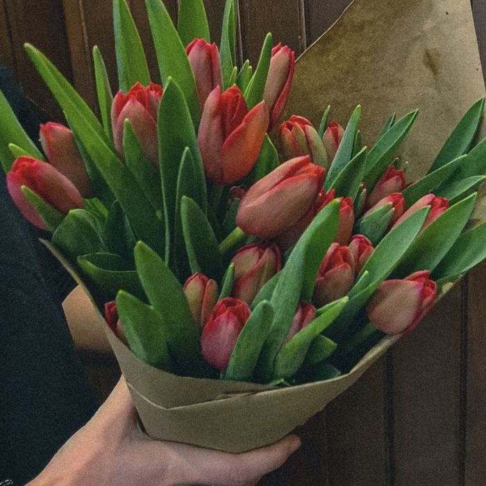 Голландские тюльпаны