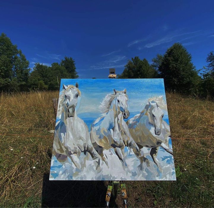 Picturi si desene