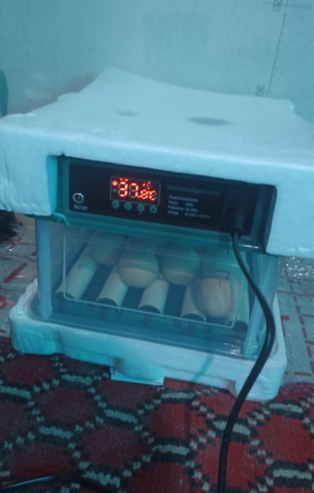 Инкубатор сотилади