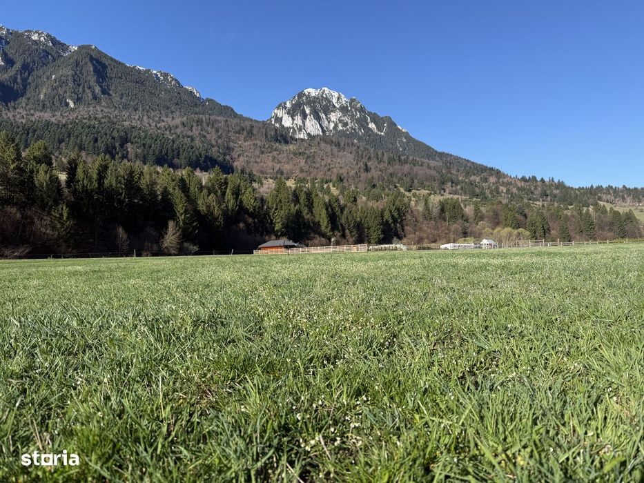 Teren intravilan 1269 mp cu priveliste la 12 km de zona Bran-Moeciu.
