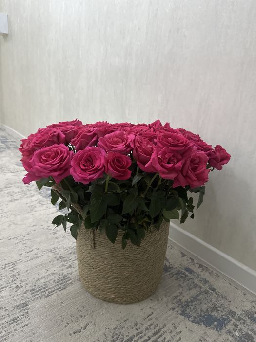 Роза гүл жаңа бүгін жасалған…