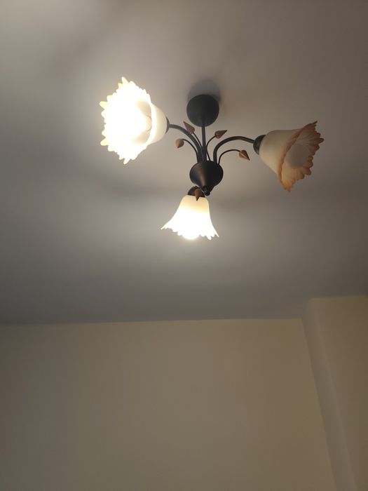 Полилей за пет крушки