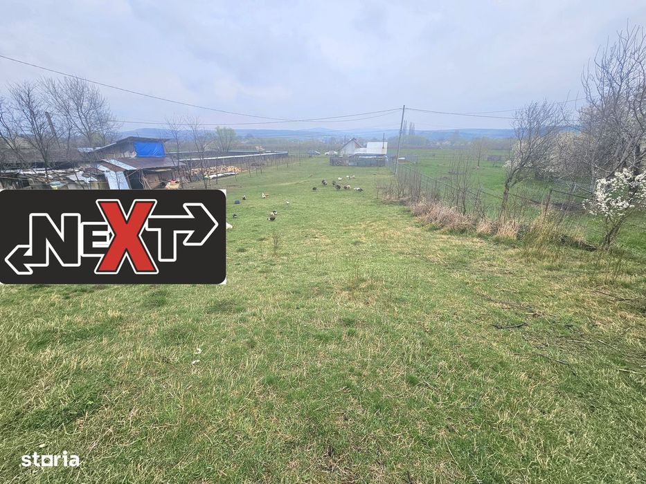 Teren 7200 mp Bodesti