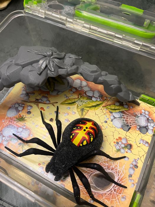 Логово паука игрушка