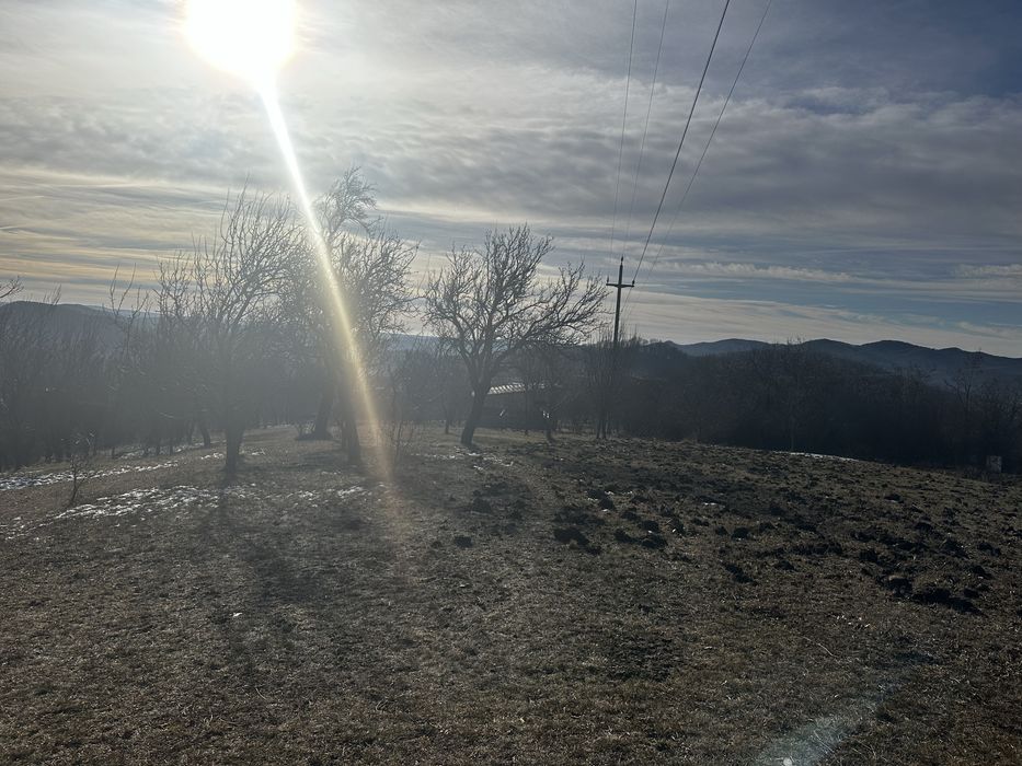 Teren de vanzare comuna Mioarele, sat Matau