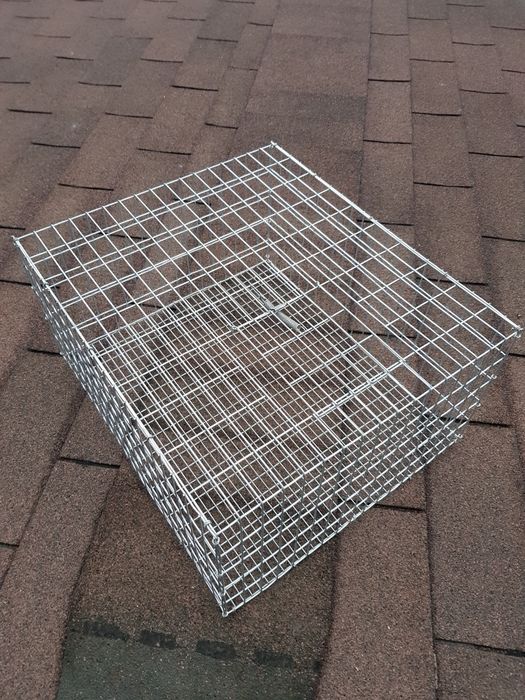 Cușca transport porumbei