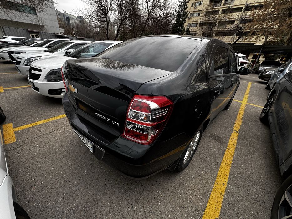 Cobalt Darkmoon Blue