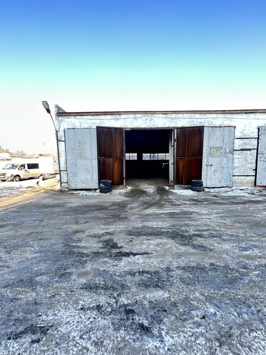 Сдам холодный бокс