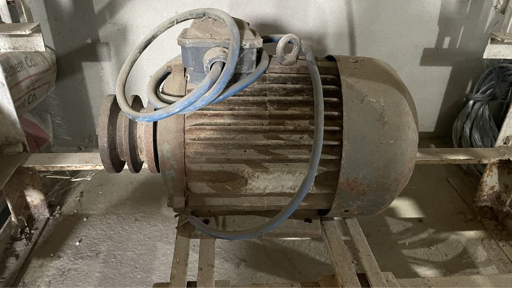 Ағаш ара, сүргісімен бірге.