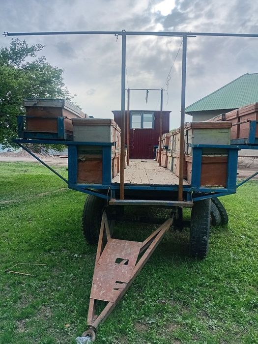 Asalari pirsepi sotiladi yashigi bilan 70 milyon yana kelishamiz