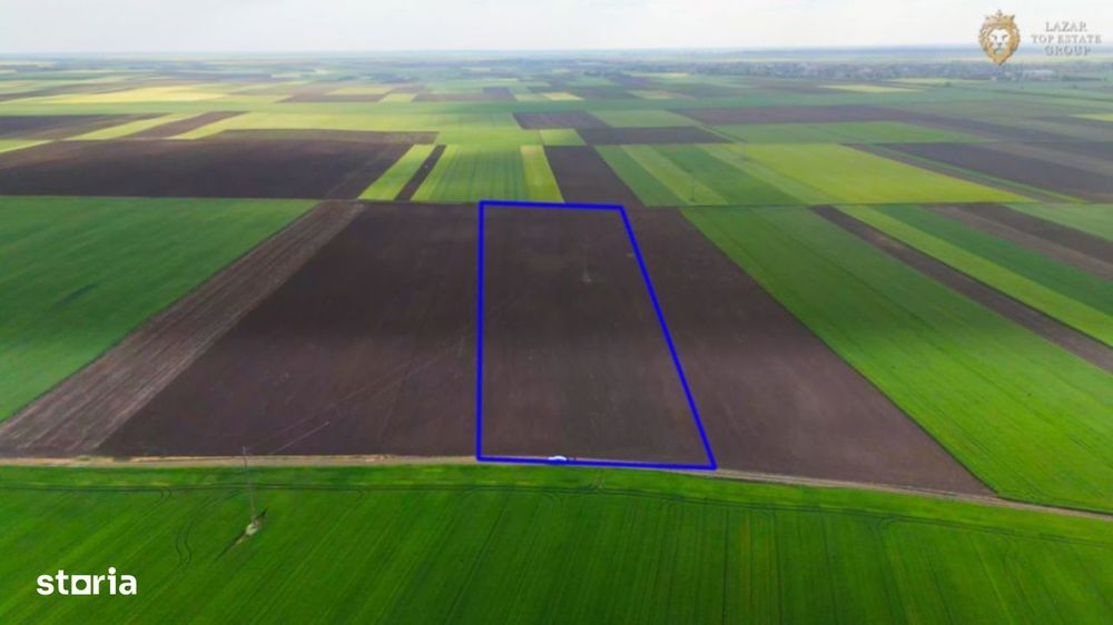 Teren cu potential 6,9 ha in Munar