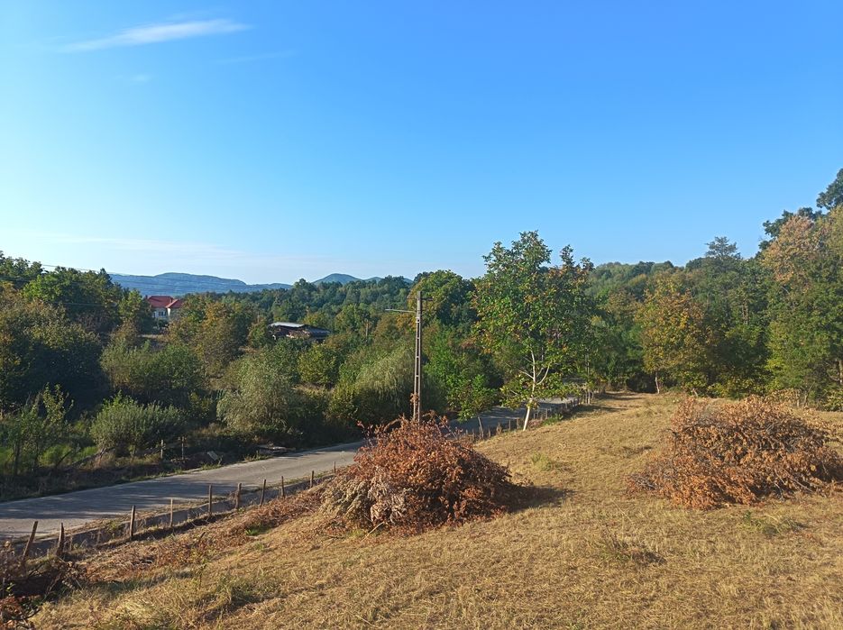 Teren Intravilan 9.948 mp de Vânzare în Horezu (Zonă Turistică) – Toate Utilitățile, Deschidere 88 m la Asfalt (Dezmembrabil în 2 loturi))
