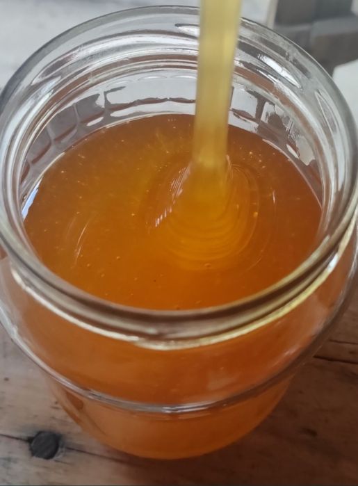 Miere naturală- Producție proprie