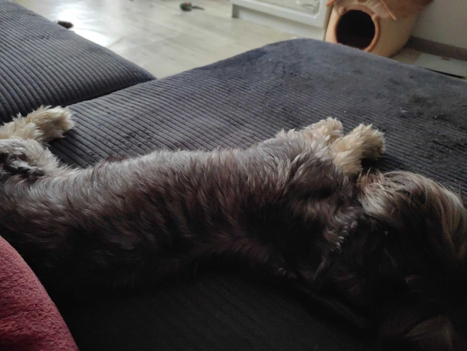 Невесту для свидания