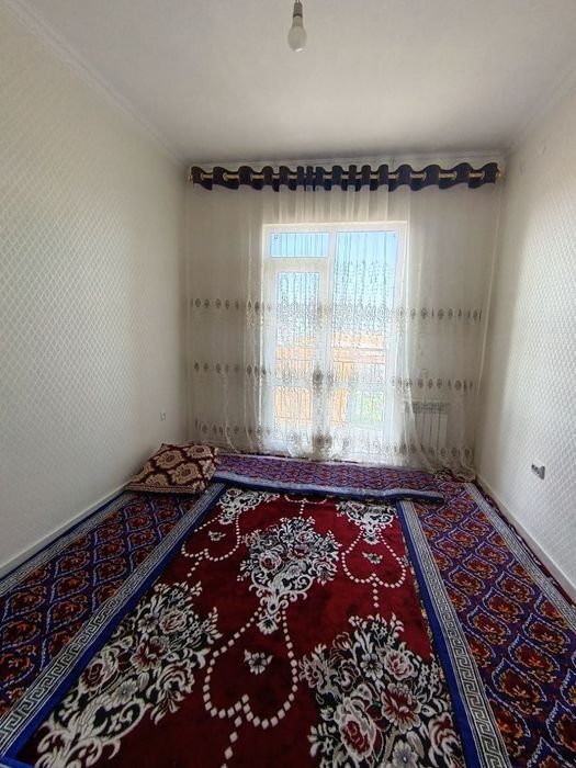 Termez movora uylari tisu unversitetni orqa tarafi