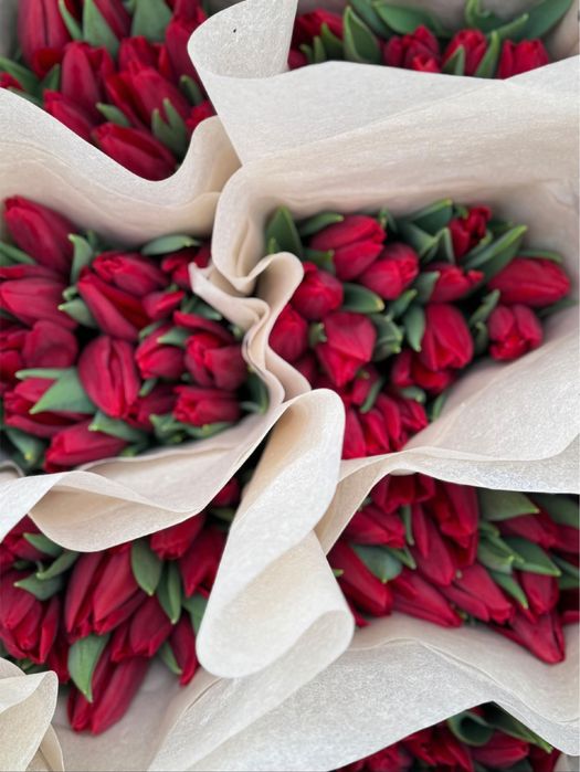 Тюльпаны предзаказ на 8 марта