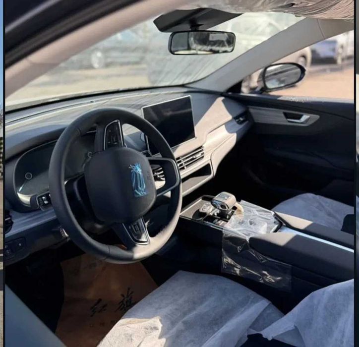 Hongqie E-QM5 610km pod zakaz