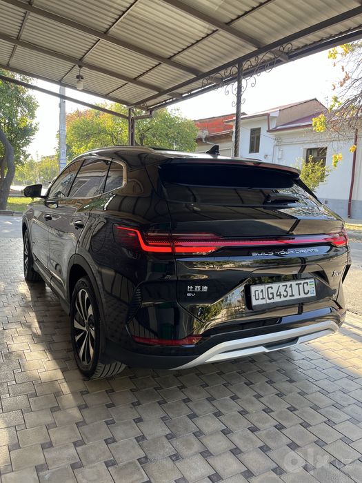 BYD chempion full 605