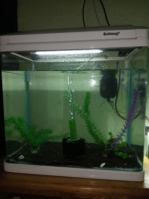 Продаётся Аквриум
