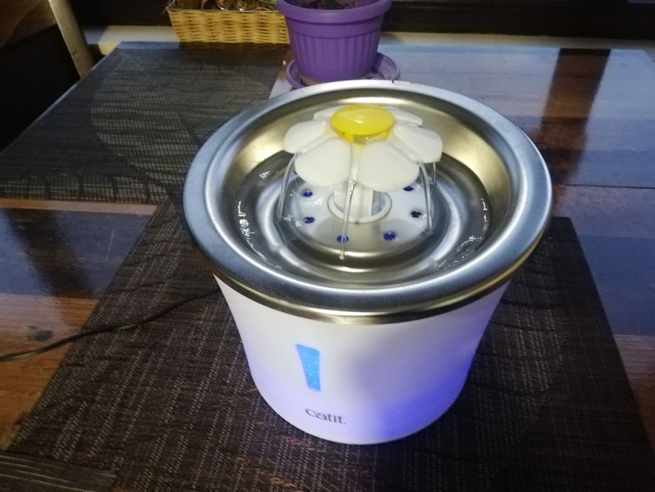 Фонтан за домашно коте с филтър