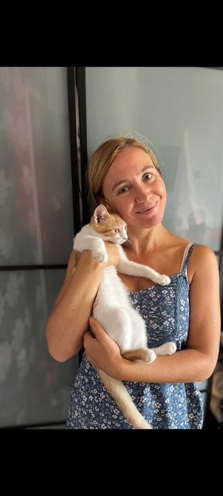 Pet sitter/cazare la domiciliul meu, bonă pentru pisici