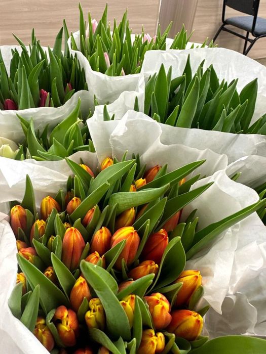 Тюльпаны к 8 Марта