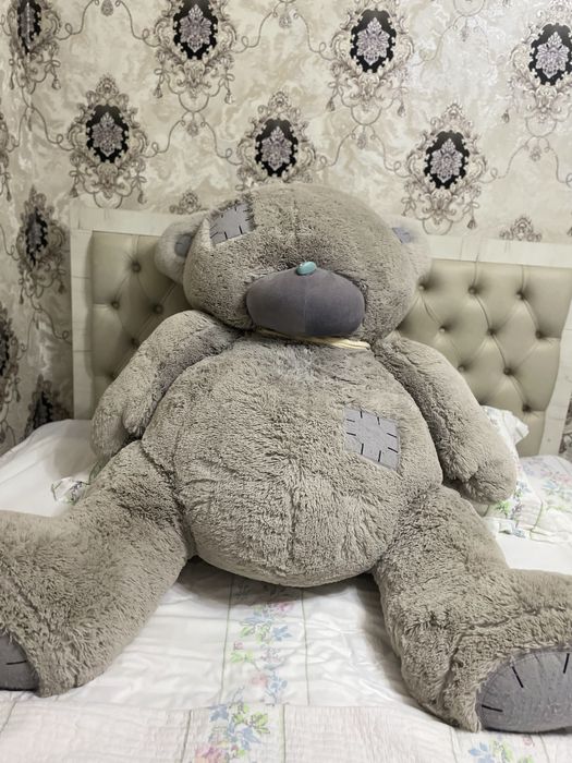 Teddy с гарантией