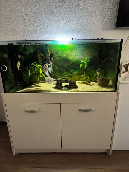 Acvariu 200 l cu stand