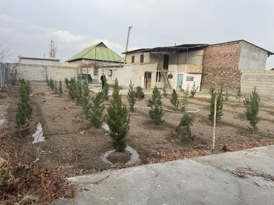 Dala hovli sotiladi. Dacha vasxoddan