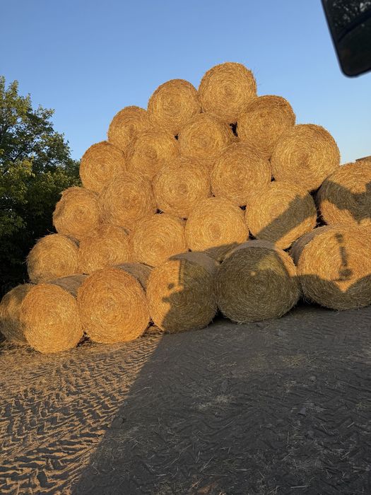 Продавам бали-слама