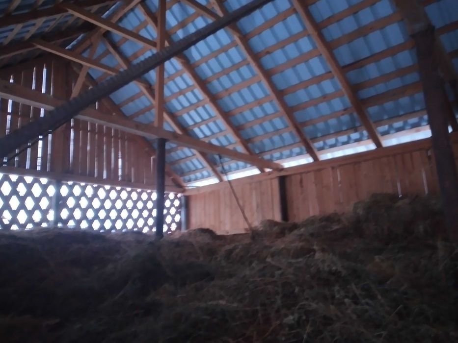 vand lucerna si otava nebalotate