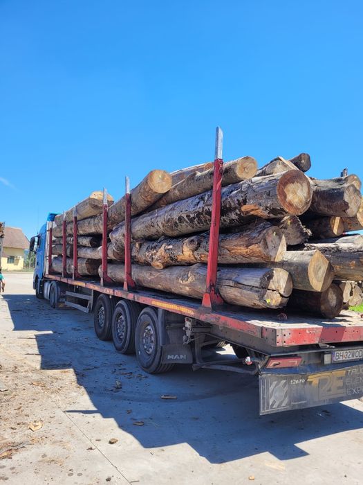 Lemn de foc esența tare fag