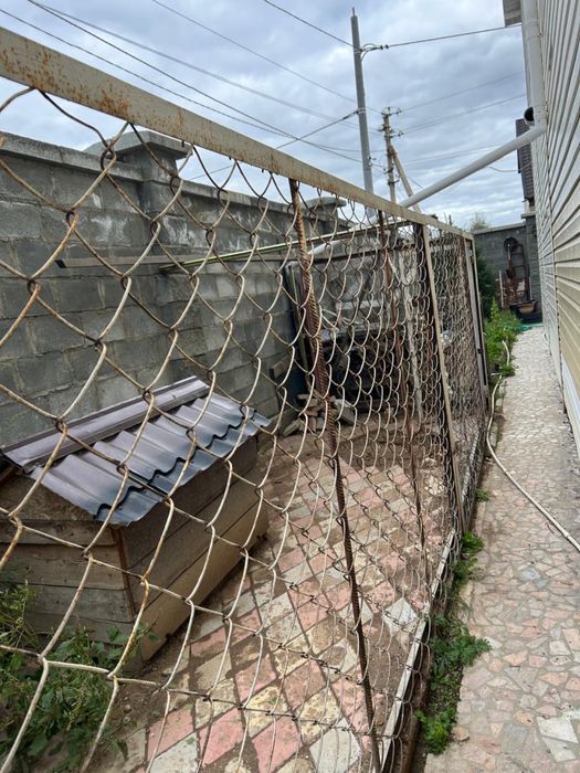 Вальер для собаки