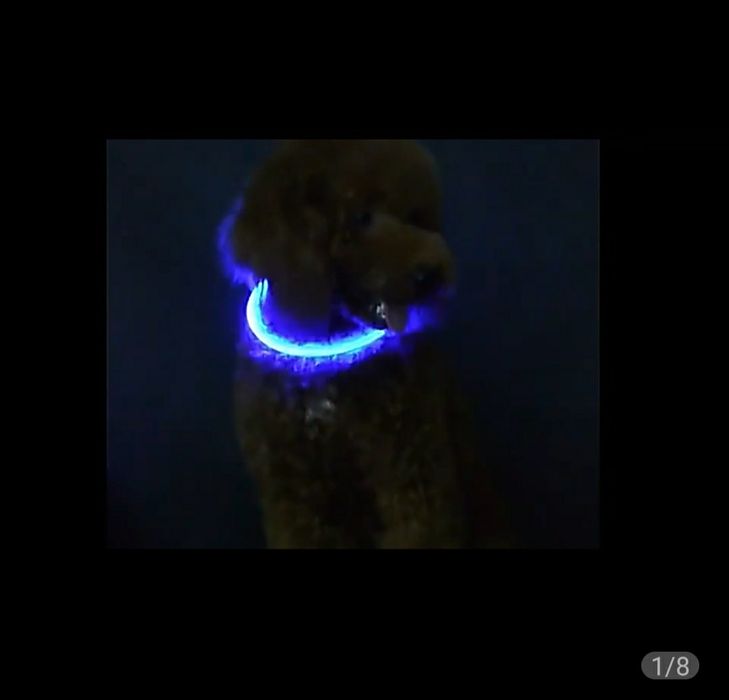 СВЕТЯЩИЕСЯ ошейники для собак