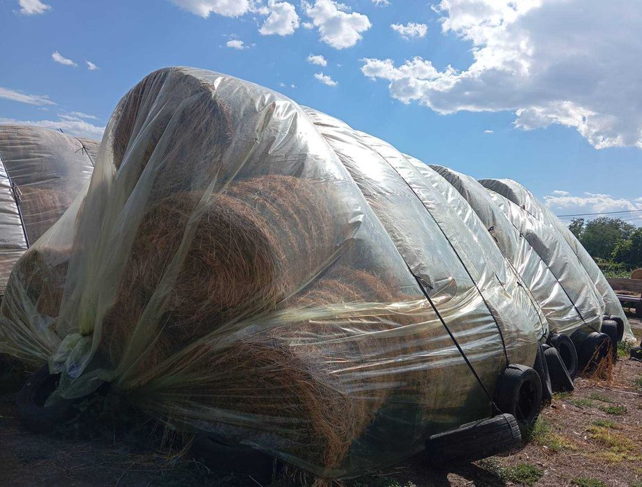 Продавам бали рулонки овес със зърно, люцерна и сено
