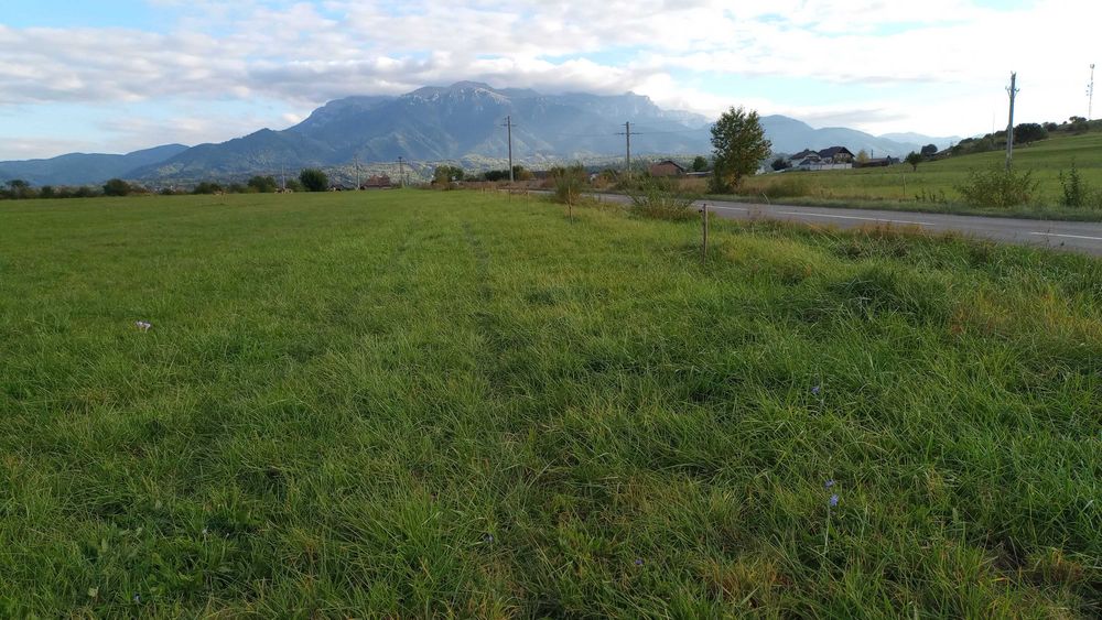 Teren intravilan Zarnesti la asfalt, cu priveliste panoramica