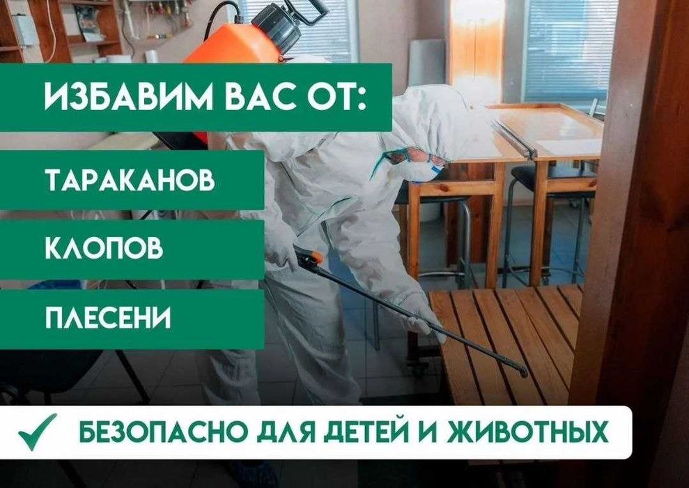 Дезинфекция! Тараканы снова появились? Пора решить проблему