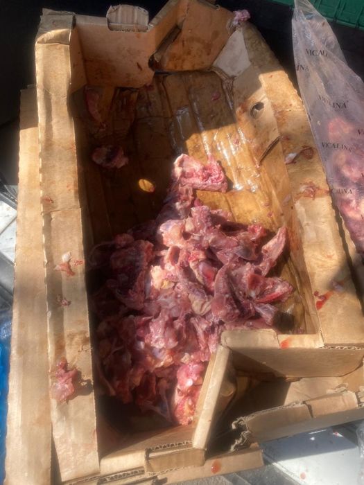 Супнабор для собак