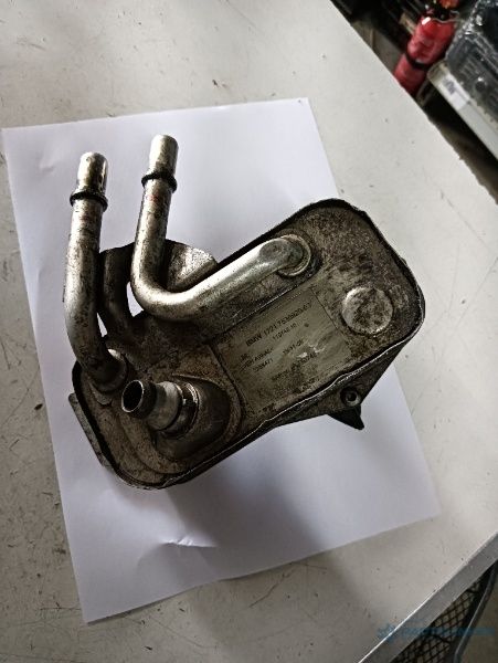 Radiator Ulei Termoflot Bmw 3 V Coupe (E92) [ 2005 - 2013 ] Oem 753692