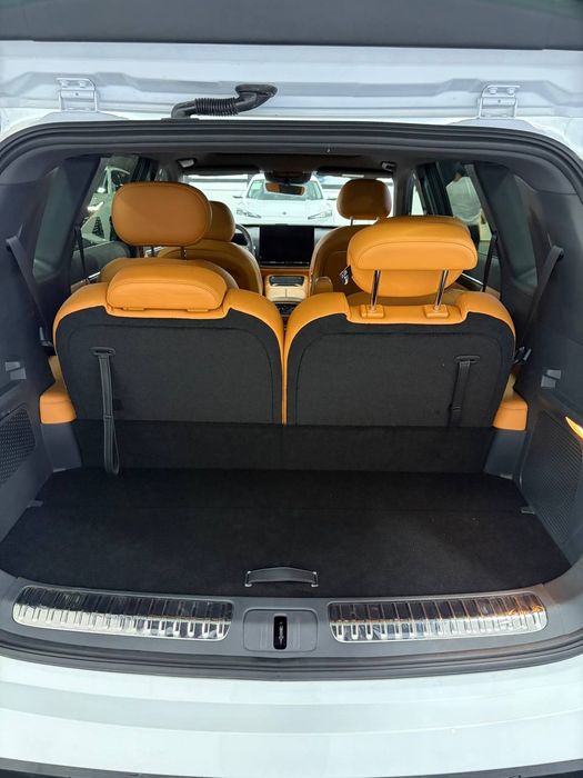 Dongfeng 2025 max Shot spravka