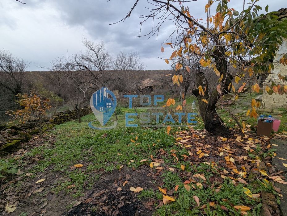 Голям парцел със стара къща в с. Балканци, общ. Стражица, обл. В.Търн