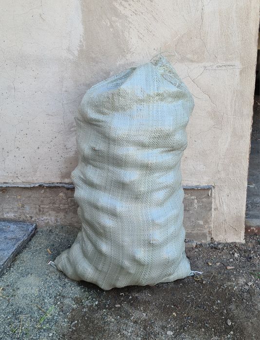 Картошка домашняя