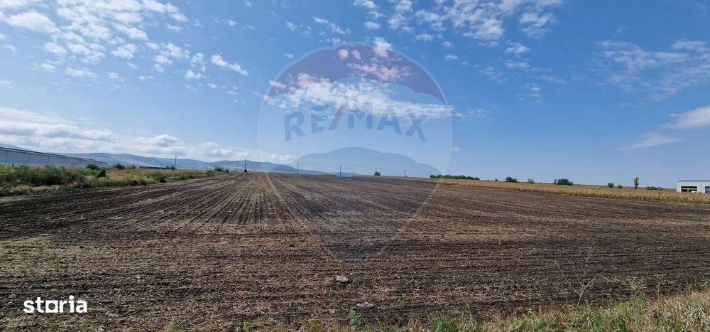 Teren intravilan, 4.874mp, DN E 85, com. Nicolae Bălcescu, Bacău