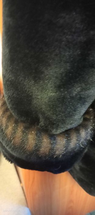 Haina de blana pentru doamne