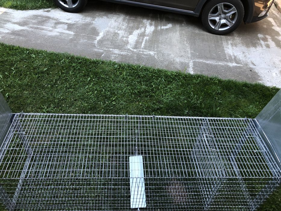 Capcana vulpi cu doua intrari -140 cm