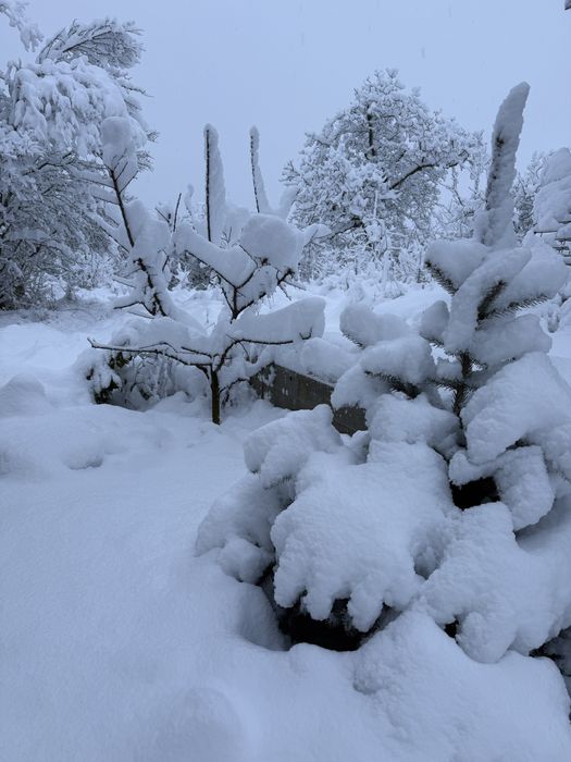 Cabană A frame cu ciubar de închiriat