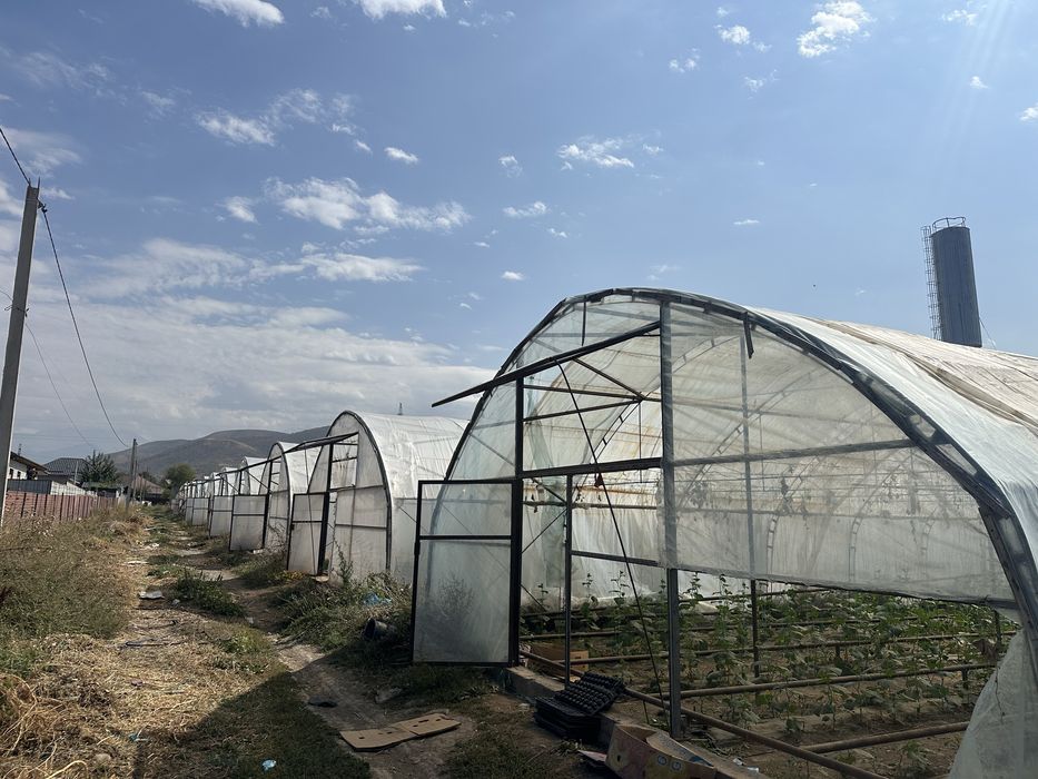 Сдам теплицу в аренду