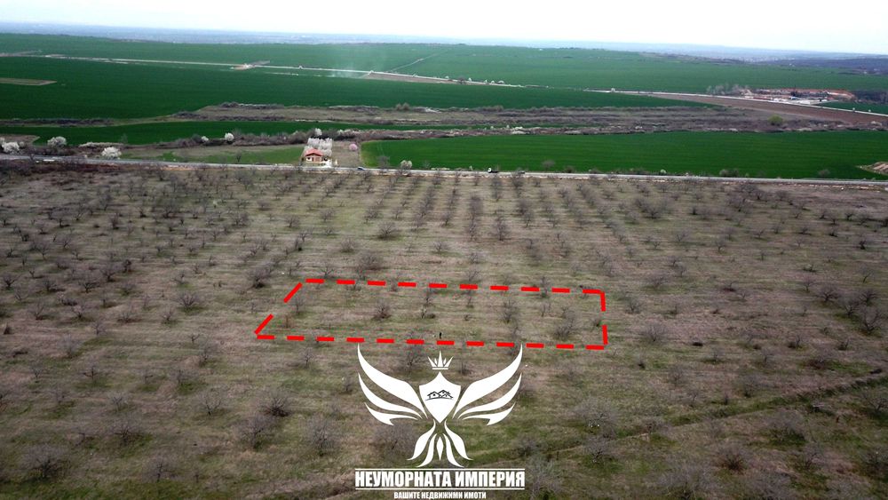 Продава се Парцел в Асеновград - 3943 кв.м за 7 €/кв.м - Снимка #12