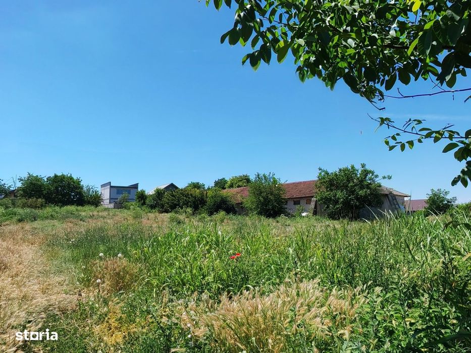 Comision0%-AlmanImobiliare-Oportunitate-TerenIntravilan-ValuLuiTraian
